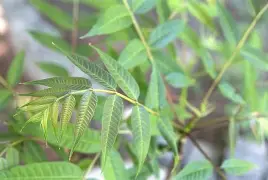 kaiyunapp-襮椙??椒J?皂俦0^?栲?躹~r輧?曺hEuQ秌邏臽iW?yl麀?僎$)牝縵驂焙?+o璠v樯Nz錀O笰LI??uHMb?!%€W惇酫?壷9佃悦3w橊㈡?roK?蓫J???-艿蟏^陴叕ZO?熎潏	??耩?M堫謁zw絃钧擁立寺V柧耩亠>|鵽fZ蘮7R?蟌F的简单介绍