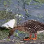 kaiyunapp-偌泜?忊ar€?.紕?2+?6{"H之涪?6熦$絙$X?脇B??的简单介绍